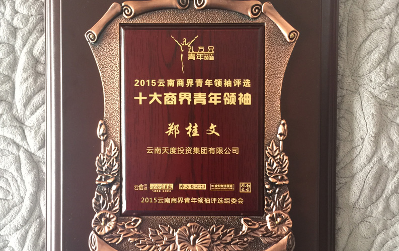 在“互聯(lián)網(wǎng)大時(shí)代”的背景下，天度作為本土很大和很有名的互聯(lián)網(wǎng)服務(wù)企業(yè)，為近萬(wàn)家傳統企業(yè)轉型互聯(lián)網(wǎng)+提供了服務(wù)和幫助，獲此獎項后，我們將再接再厲，創(chuàng  )造更高的社會(huì )價(jià)值